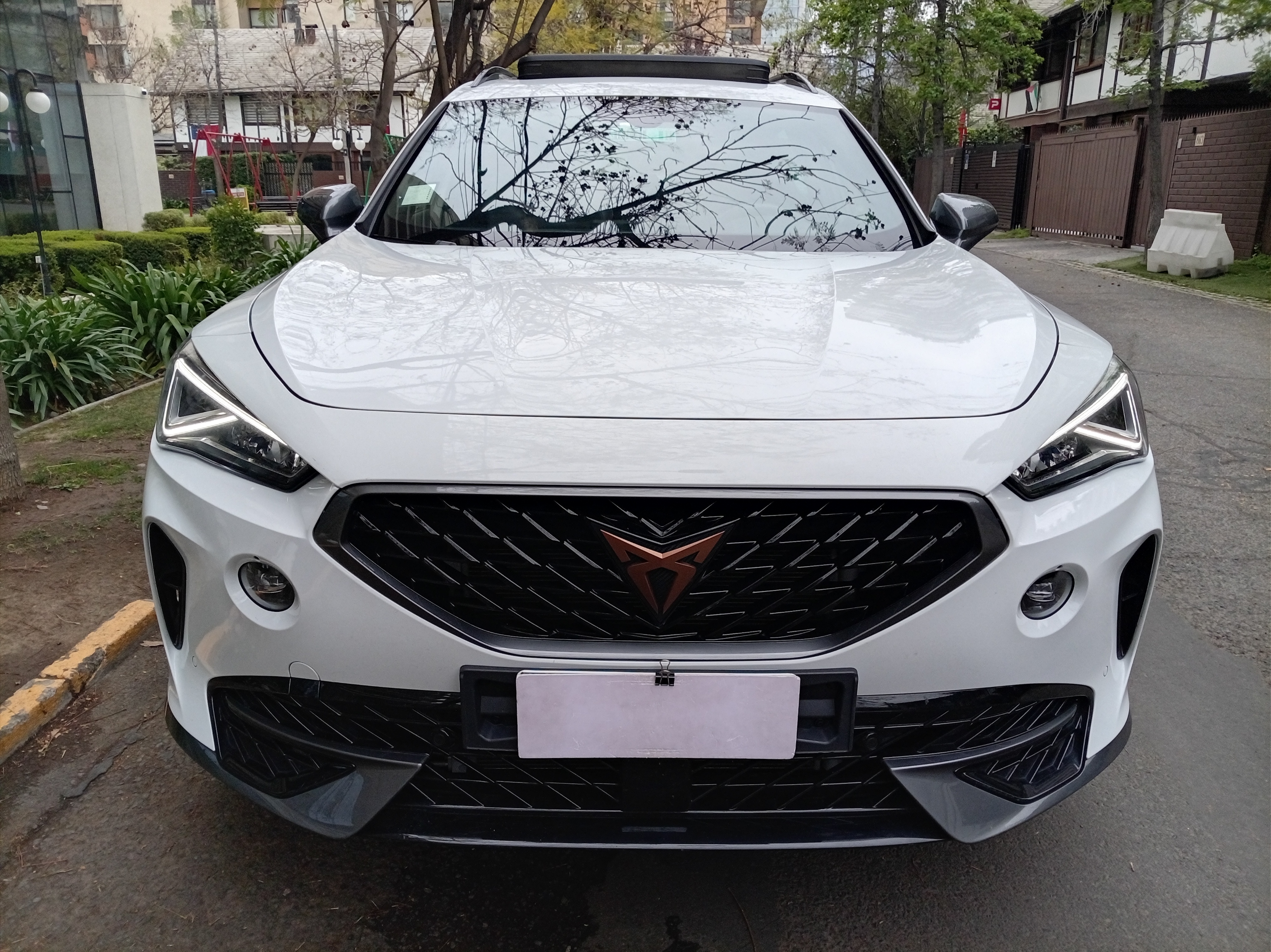 Cupra 2024